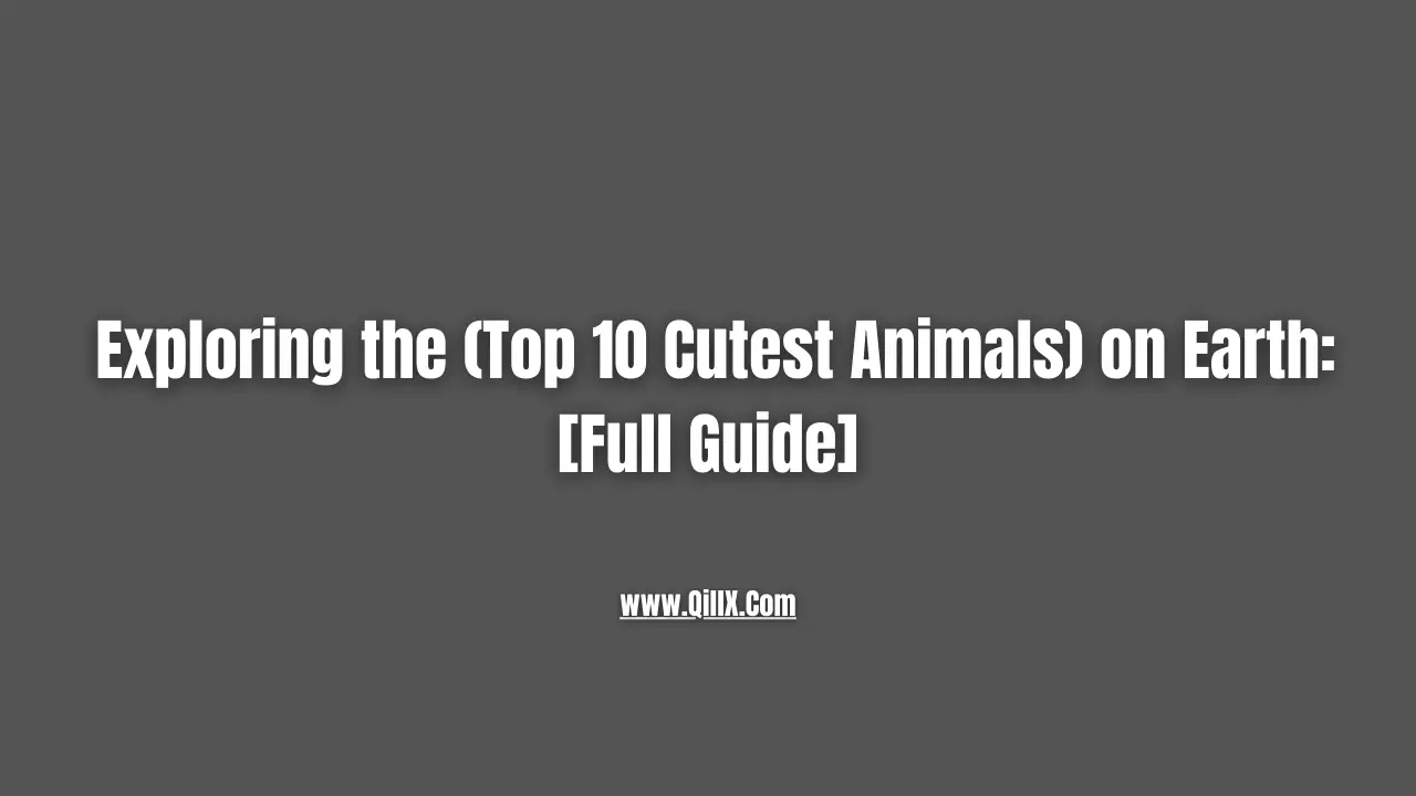 top ten cute animals in the world