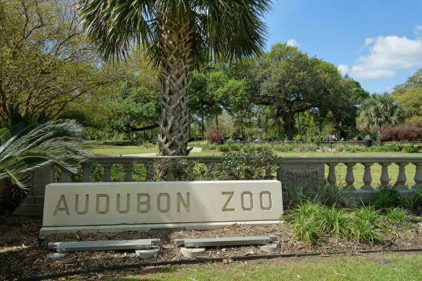 Top zoos to visit in the USA